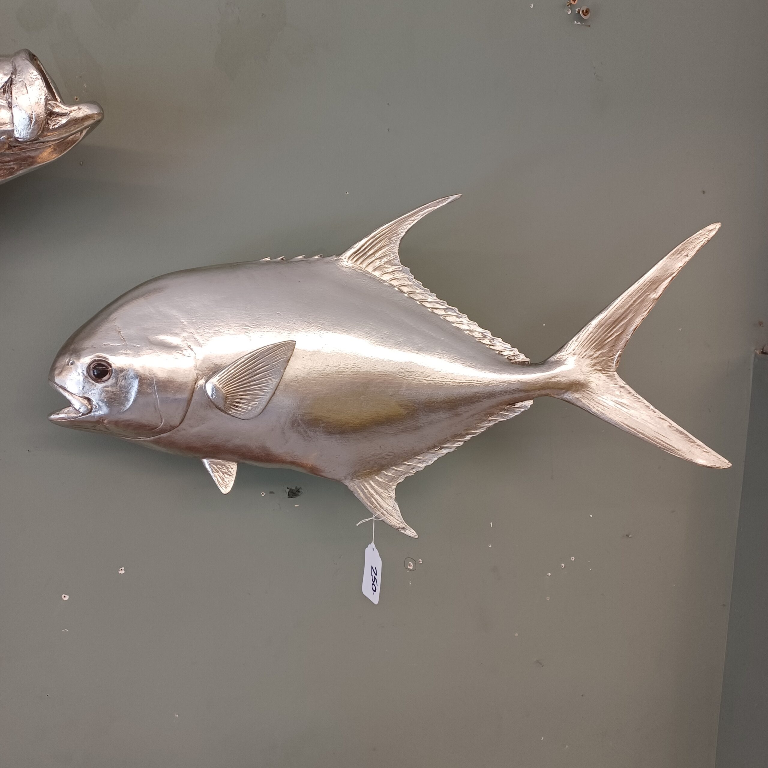 phillips collection permit fish