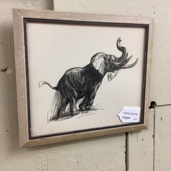 vintage black & white schwartz animal promo print elephant