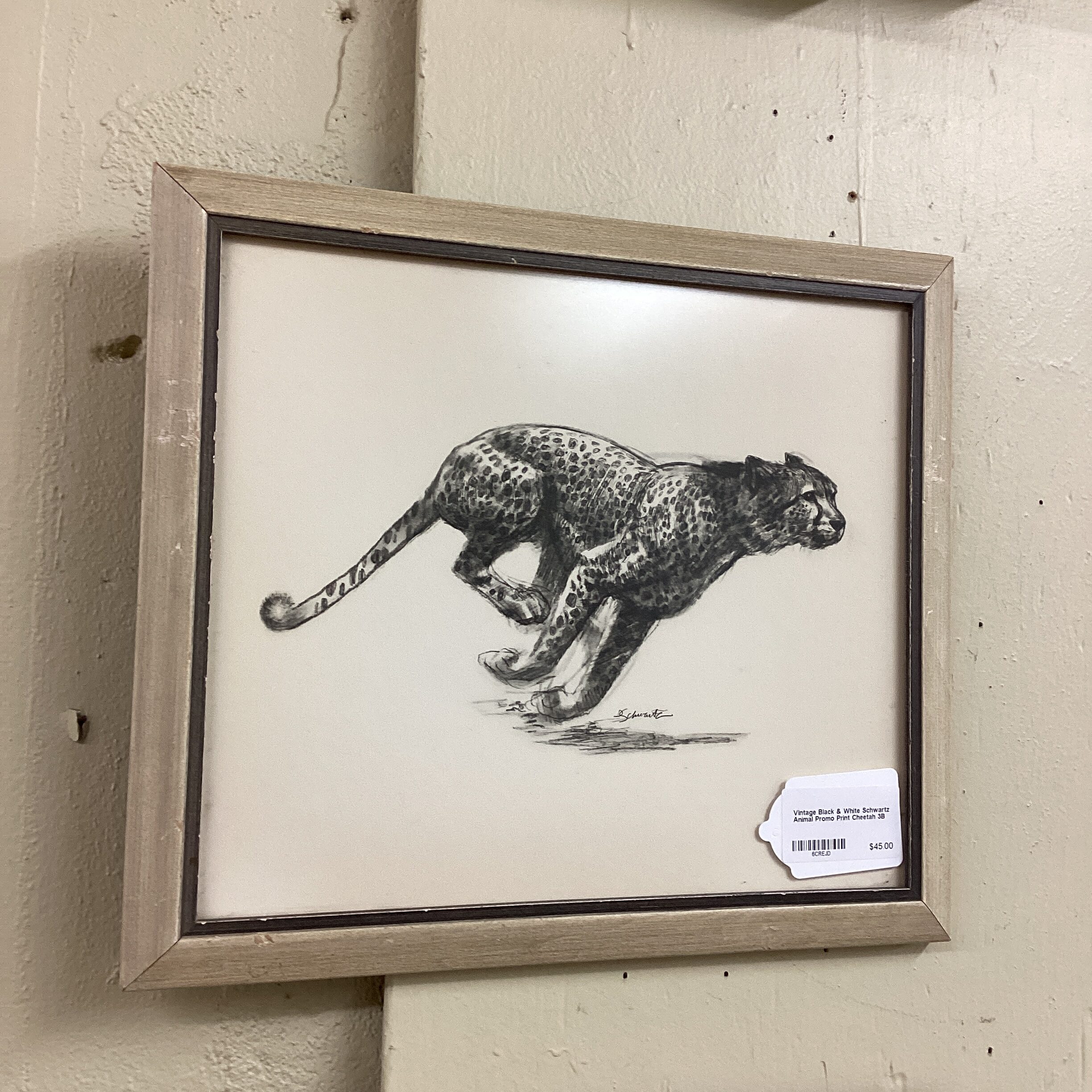 vintage black & white schwartz animal promo print cheetah