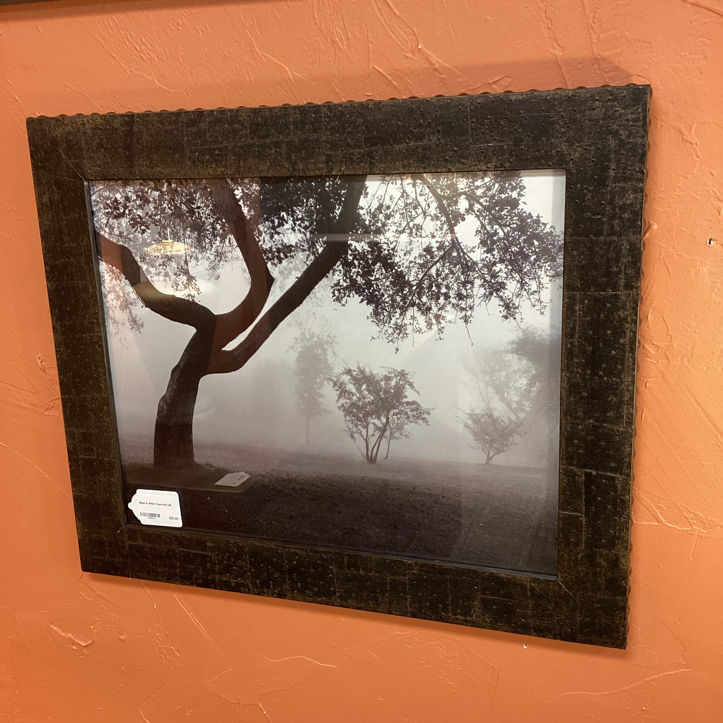 black & white trees print