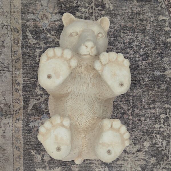 spirit bear coffee table