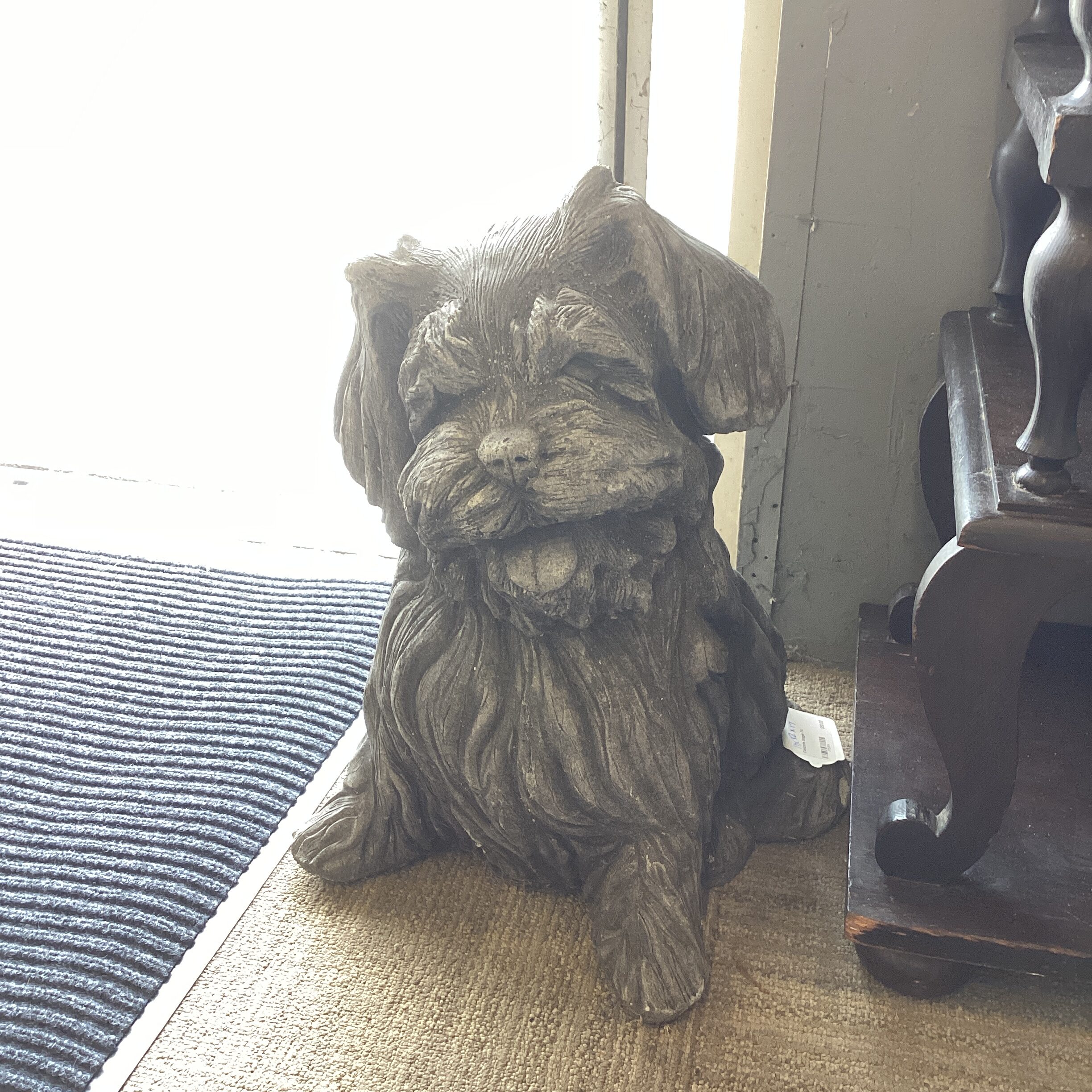 concrete doggie