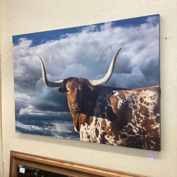 large longhorn canvas art