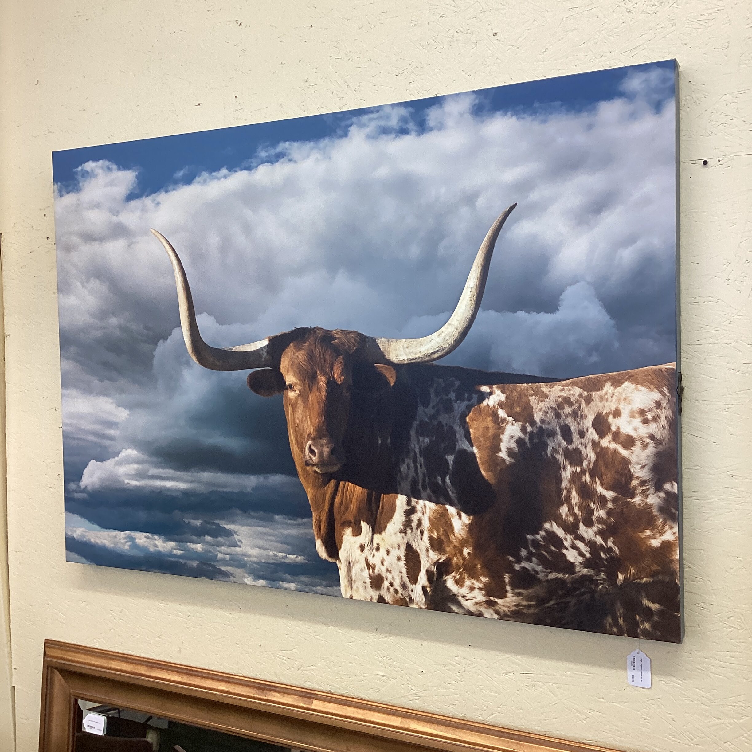 large longhorn canvas art
