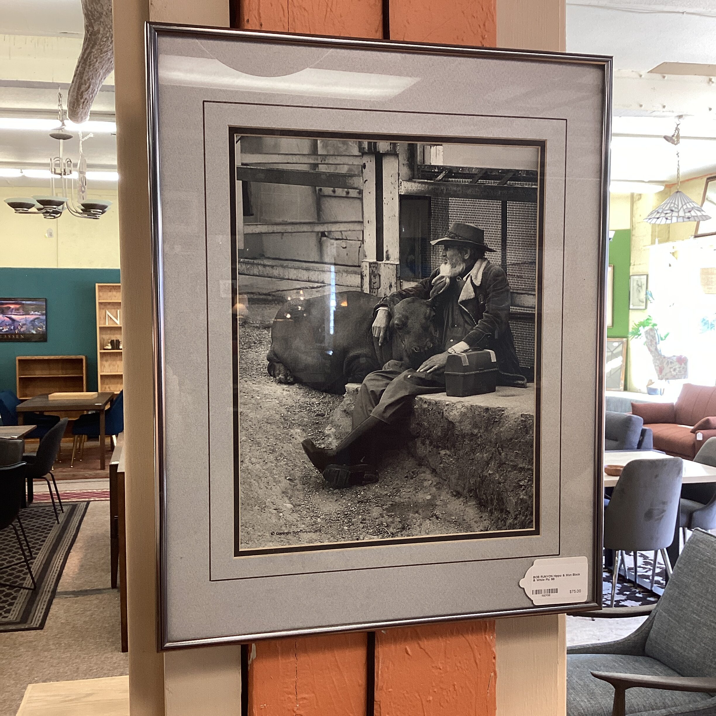bob runyon hippo & man black & white pic