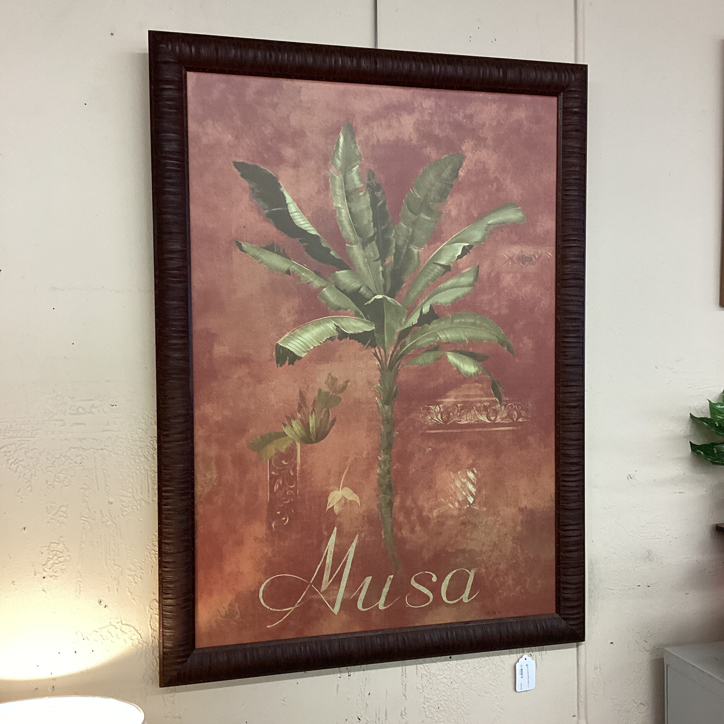 signed limited edition musa art